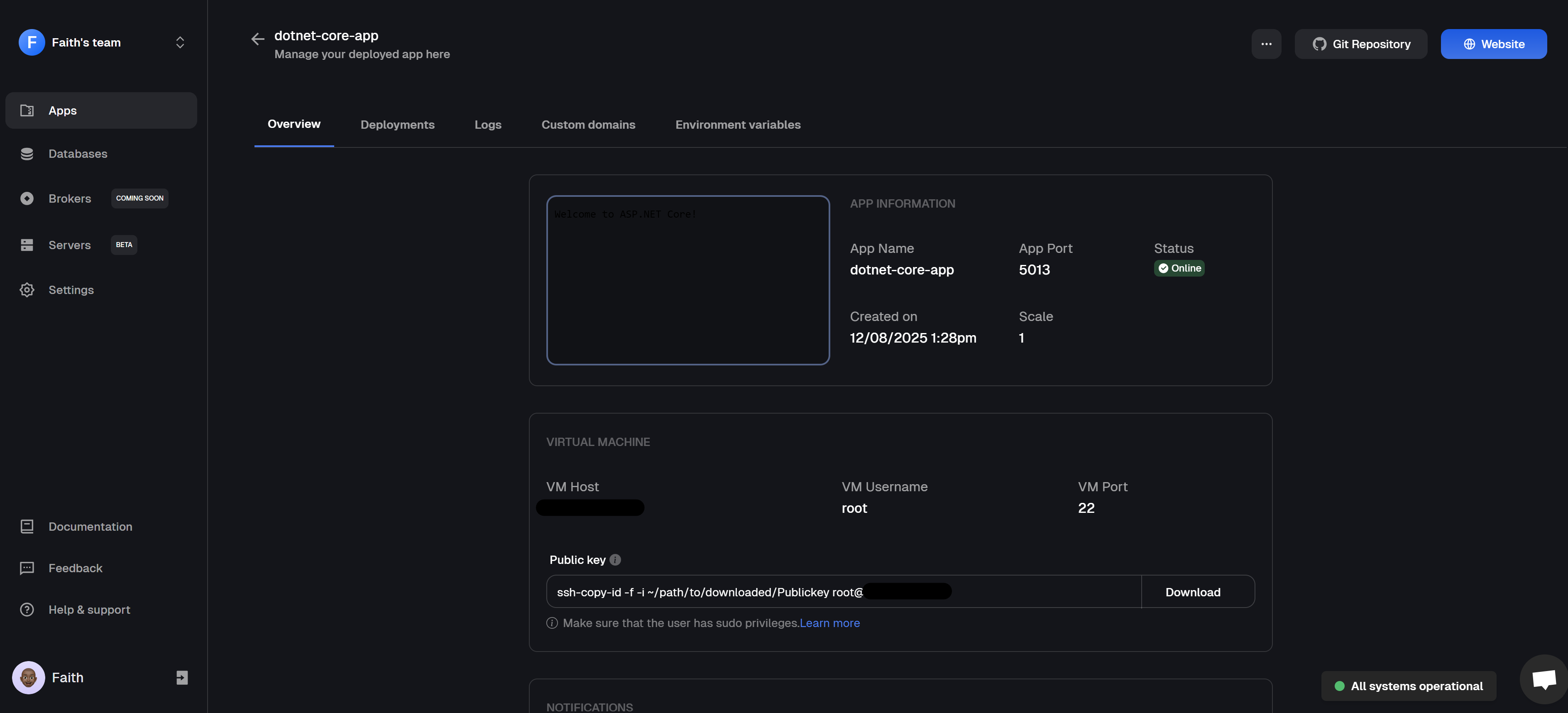 An image of the overview of a successfully deployed Dotnet application on Clouddley.
